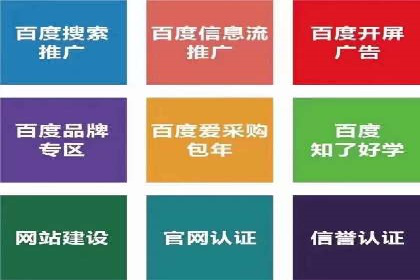 行业领先的SEM优化案例：提升品牌曝光率